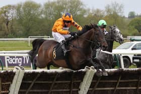 Seven races at Warwick on Thursday (Photograph by David Pratt)