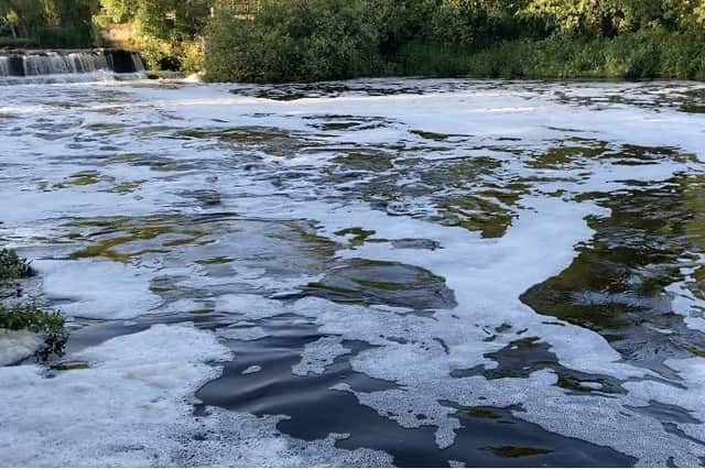 The strange foam floating on the surface of the River Avon. Picture courtesy of Craig Harrison.