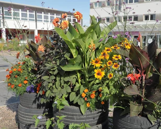 The community garden at Talisman Square in Kenilworth. Picture supplied.