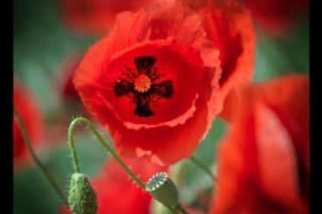 Remembrance Day services and parades will be taking place across the Warwick district on Sunday November 10