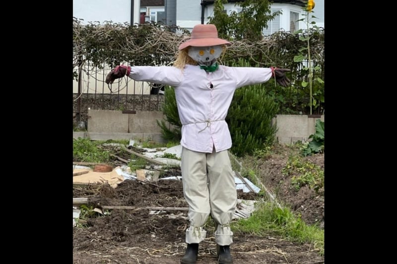 One of the many creative scarecrows at the allotments. Photo by Kenilworth Allotment Tenant’s Association