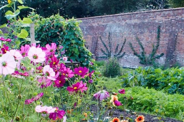 Guy's Cliffe Walled Garden will be open for the National Garden Scheme charity open day later this month. Photo by Guy's Cliffe Walled Garden. Photo supplied