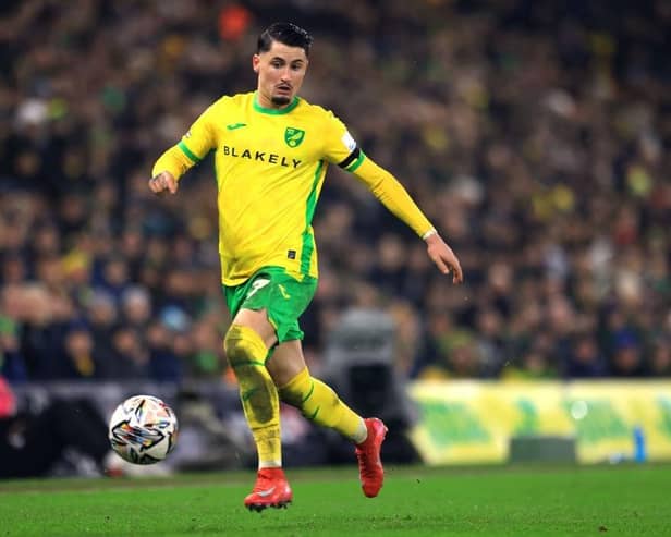 Norwich City's Borja Sainz has been rated as the Championship's best player this season by the whoscored.com website