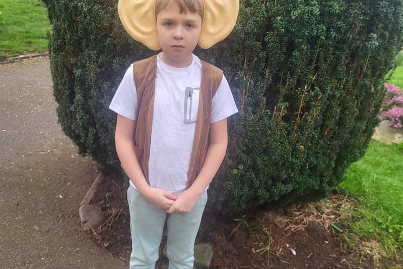 Archie, aged 7, of Clapham Terrace Primary School in Leamington, as The BFG.