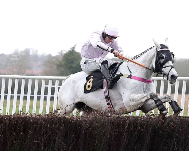 Ben Jones and Fashion's Model jump the last fence clear of their rivals (photo by David Pratt)