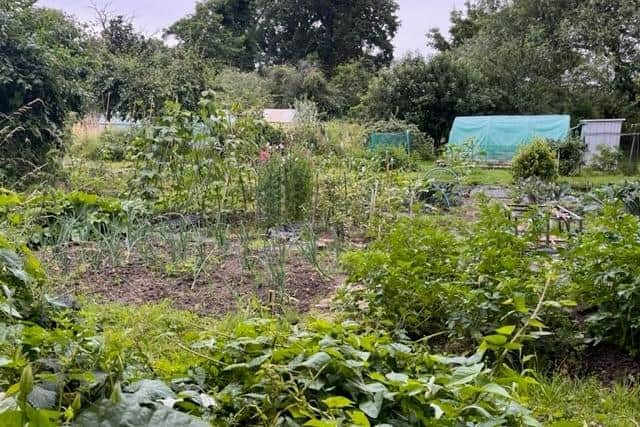 The winners of Warwick Town Council’s Annual Allotments Competition have been announced.