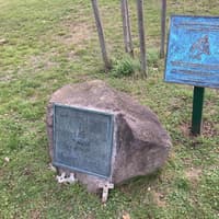 New plaque in Leamington park pays tribute to equine animals killed in First World War