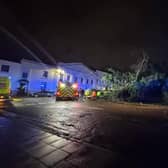 The fallen Cedar tree in Grove Street and Portland Place West. Credit: Harry Brown