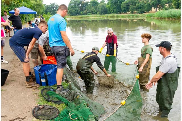 Residents, businesses and a team from Lavender Hall Fishery worked together to move more than 600 fish to a new location. Photo by Mike Baker