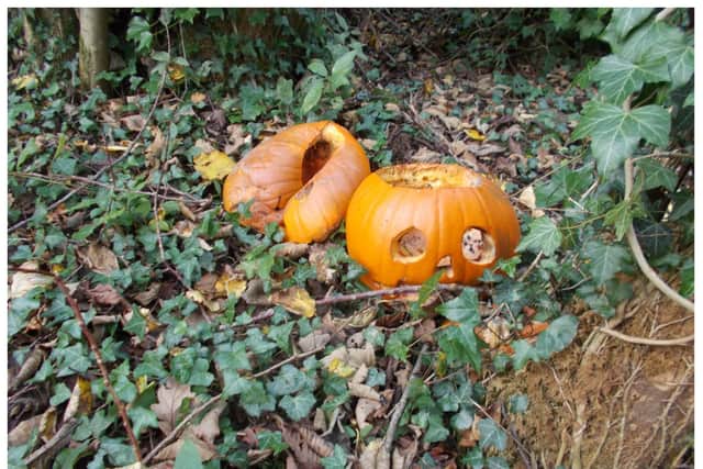 The Woodland Trust is urging people to not dump their pumpkins in woods as it can endanger wildlife. Photo by Woodland Trust