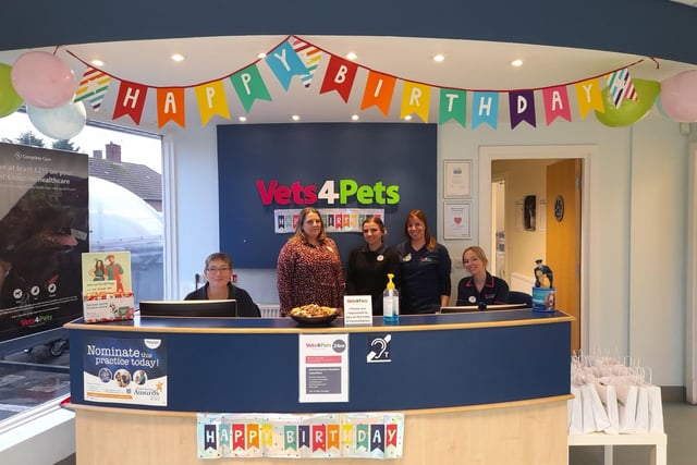 Warm welcome awaits at Vets4Pets.