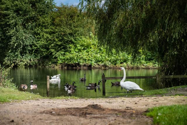 Four of Warwickshire’s Country Parks have been nominated for the award. Photo supplied by Warwickshire County Council