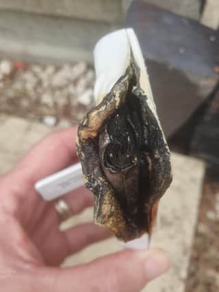 The burned monitor.