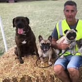 Pooch party at Lutterworth Dog Festival