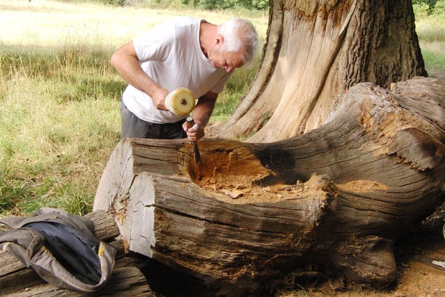 Carver Graham Jones when he was attempting to make a seat from dead wood. Photo by Geoff Ousbey