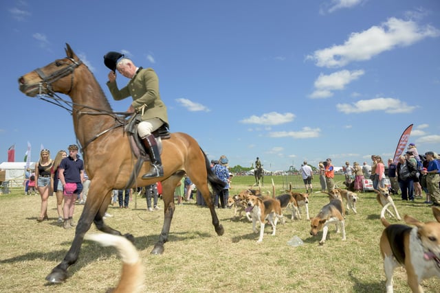 The show also featured classic countryside events with horses, dogs, and the farming community. Photo by Jamie Gray