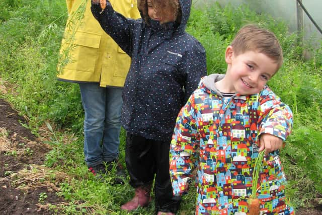 An Open Farm Sunday at Canalside Community Food in 2014. Picture supplied.