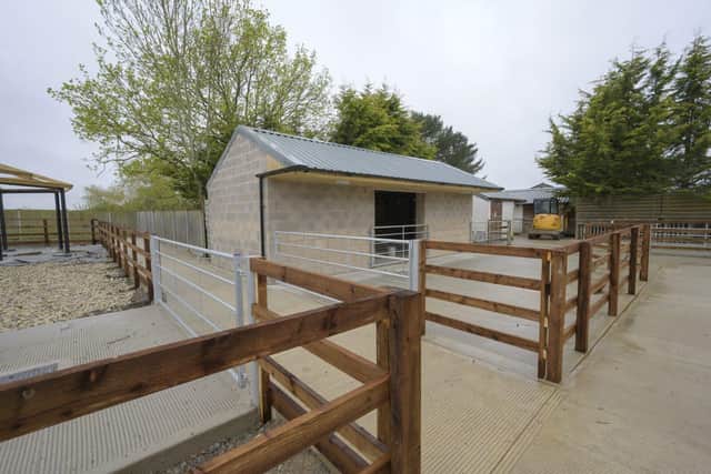 The new donkey barn at Redwings Horse Sanctuary’s centre in Oxhill, Warwickshire