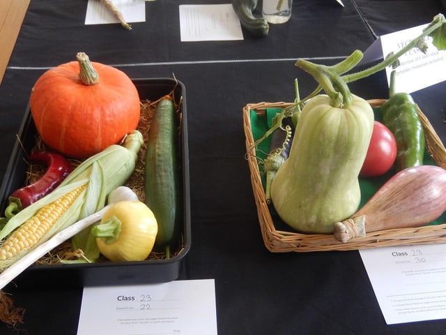 Some of the vegetable tray entries. Photo supplied