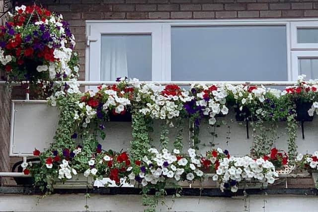 The Hanging Baskets and Window Boxes category winner: Kathy Spackman (Silver Gilt). Photo supplied