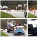 An order was originally meant be brought in against the Warwickshire Hunt to help stop problems with hounds on the road, like in this case in south Warwickshire. (Images from West Midlands Hunt Saboteurs).