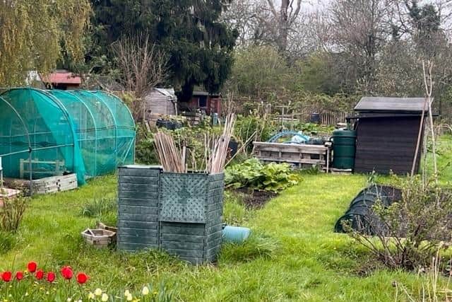 The annual allotment competition will be returning. Photo supplied