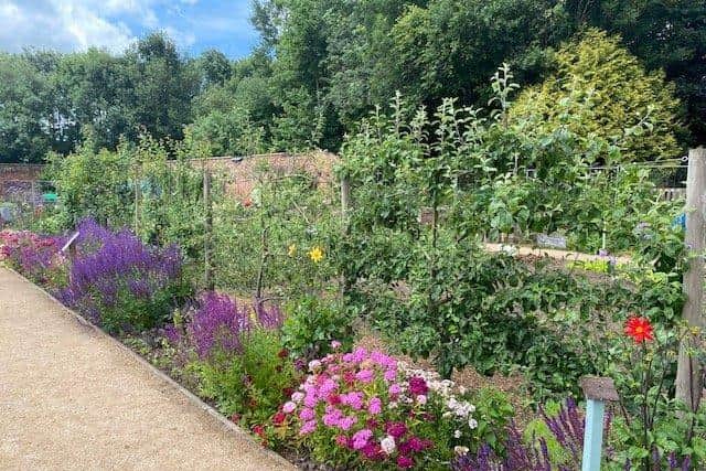 Guy's Cliffe Walled Garden will be open for the National Garden Scheme charity open day later this month. Photo by Guy's Cliffe Walled Garden. Photo supplied
