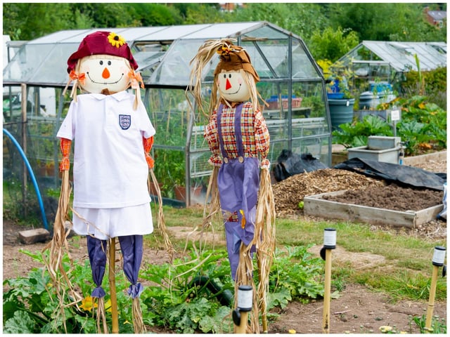 One of the many scarecrows created ahead of the open day. Photo by Mike Baker