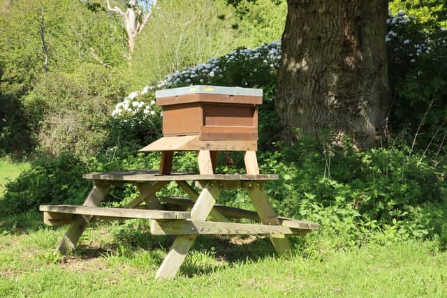 The temporary beehive at Warwickshire Police HQ in Leek Wotton. Credit: Warwickshire Police.
