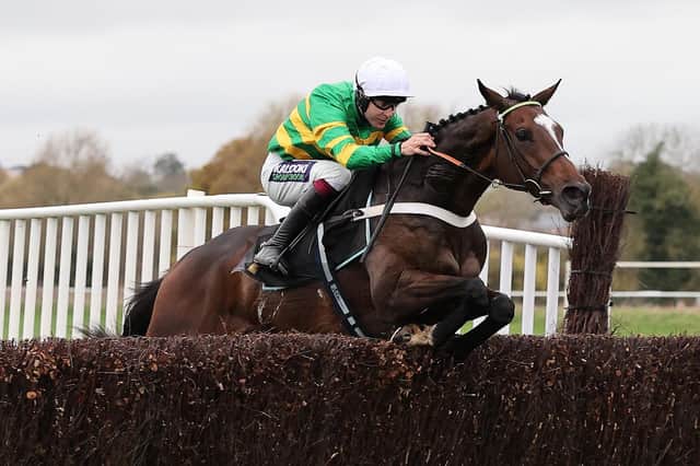 Jonbon winning at Warwick in November. Picture: David Pratt.