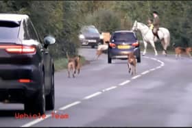 A huntsman and hounds hold up traffic on the B4035 Banbury to Shipston Road near Brailes