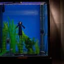How did the actors stay underwater? Find out special effects secrets at The Backlot Stage show