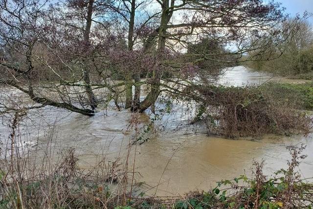 St Nicholas Park in Warwick after Storm Henk. Photo by Geoff Ousbey