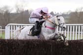Volcano, five times a course winner, is remembered at Warwick on Sunday (photo by David Pratt)