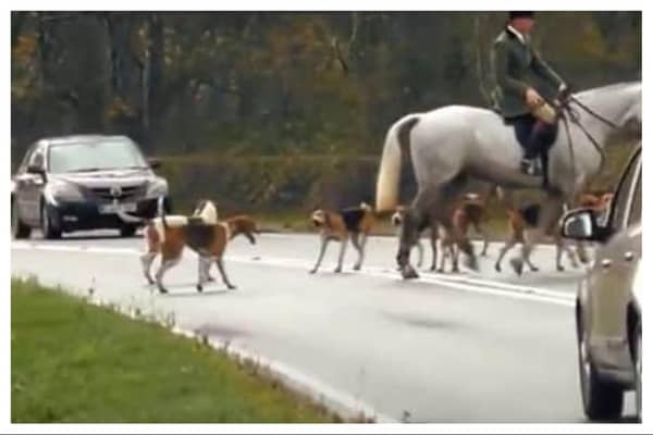 Concerns have been raised about Warwickshire Hunt's behaviour on the roads.