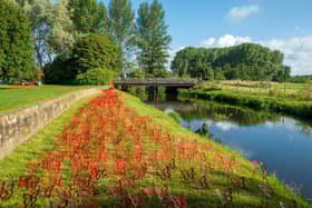 The Myton Hospices - The Butterfly Effect