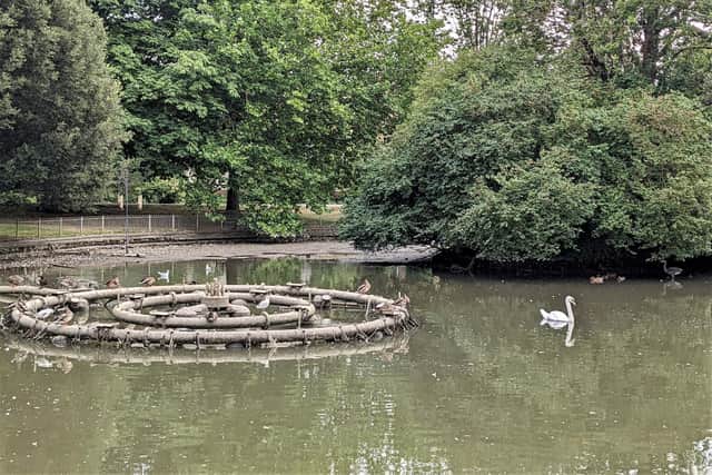 Visitors could see the usually submerged fountain pipes sticking out of the water, providing a popular perch for ducks.  Photo by Frances Wilmot.