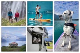 Rhys Denham and Sophia Hutchinson have been taking their dogs Django and Amber on their holidays. (Photos:Sophia Hutchinson/SWNS).
