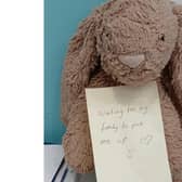 A company based in Leamington is looking to reunite a lost bunny toy with its owner. Photo supplied