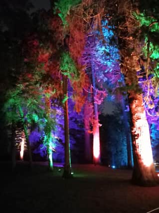 Colourful trees light up Coombe Abbey.
