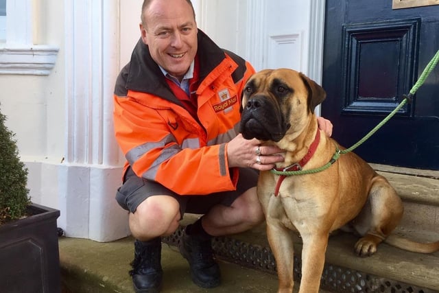 Leamington postman Steve Malin pictured in 2019 with Peggy the bullmastiff - who he found after she went missing from her home in Kenilworth Road.