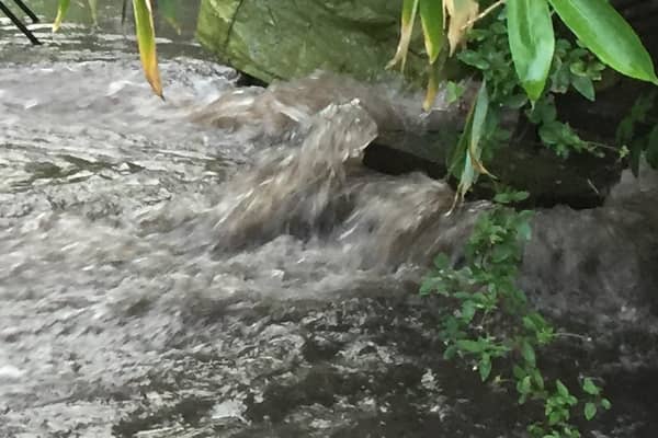 The Secretary of State for Environment has been invited to 'don her cozzie' and take a dip in Warwick's River Avon to find out for herself how bad river pollution has got.