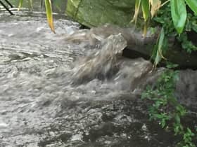The Secretary of State for Environment has been invited to 'don her cozzie' and take a dip in Warwick's River Avon to find out for herself how bad river pollution has got.