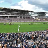 The stage is set for the 2024 Cheltenham Festival from Tuesday to Friday, with big crowds sure to relish the best Jumps racing in the world. Check out 20 of the best horses who could make the headlines.