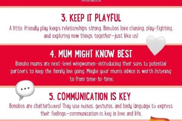 The Bonobo's Guide to Love
