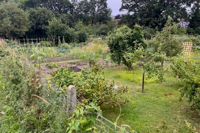 The winners of Warwick Town Council’s Annual Allotments Competition have been announced.
Submitted photo