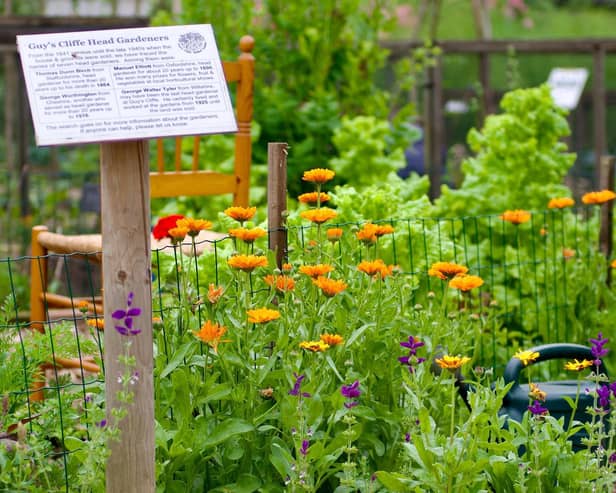 The Walled Kitchen Garden at Guy’s Cliffe will be opening as part of the National Garden Scheme (NGS) on Saturday July 22, from 10am-3.30pm. Photo by John Bray