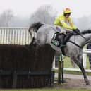 Kingmaker Chase winner L'Eau du Sud has had his odds cut for the Cheltenham Festival (photo by David Pratt)