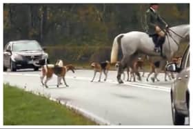 The original police action was taken after reports of Warwickshire Hunt causing traffic problems in the county.