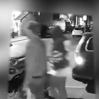 Watch: Police release video of two people they want to speak to in relation to vandalism of 41 cars in Overslade